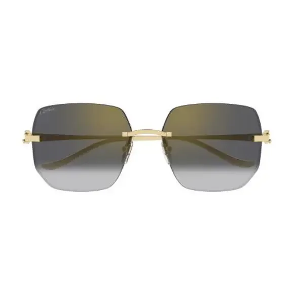 Cartier | Accessories | Cartier Panthere Ct549s Rectangular  display picture 1